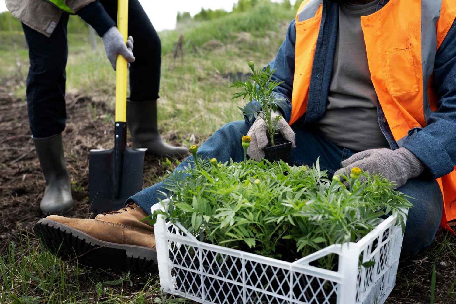  North Chicago, IL TreeGuard Tree Service Pros